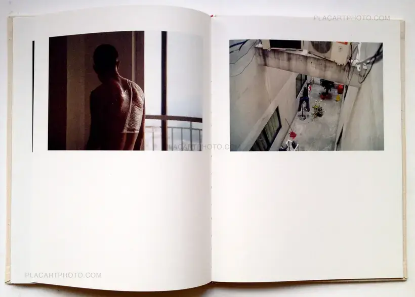 Bees (In shrink-wrapped)