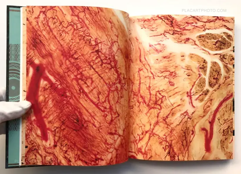 The Whale's Eyelash : A Play in five acts