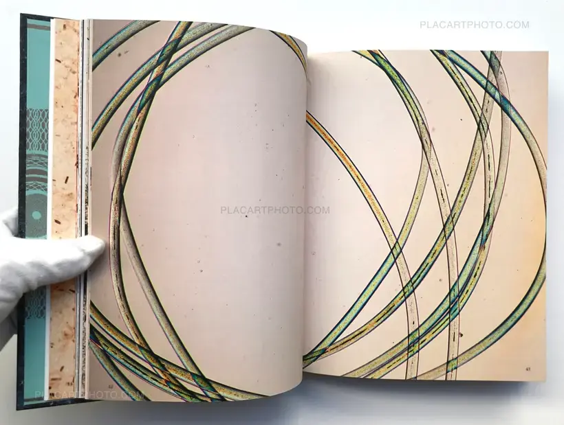 The Whale's Eyelash : A Play in five acts