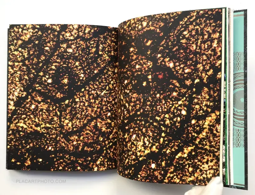 The Whale's Eyelash : A Play in five acts