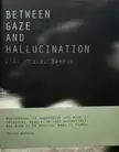Between gaze and hallucination (SIGNED)