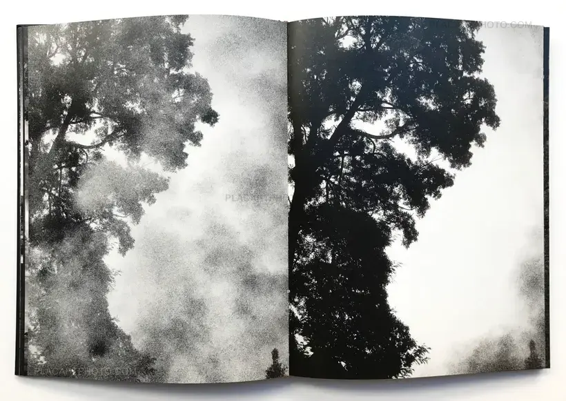 Between gaze and hallucination (SIGNED)