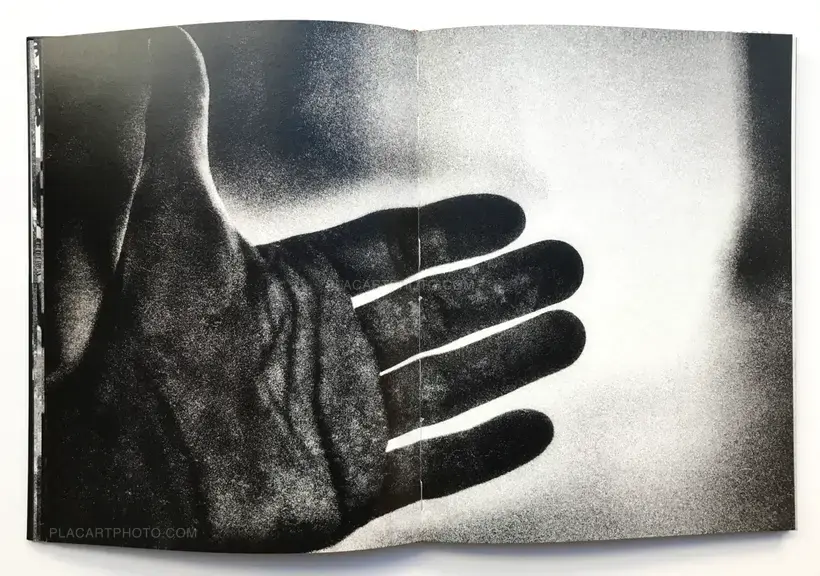 Between gaze and hallucination (SIGNED)