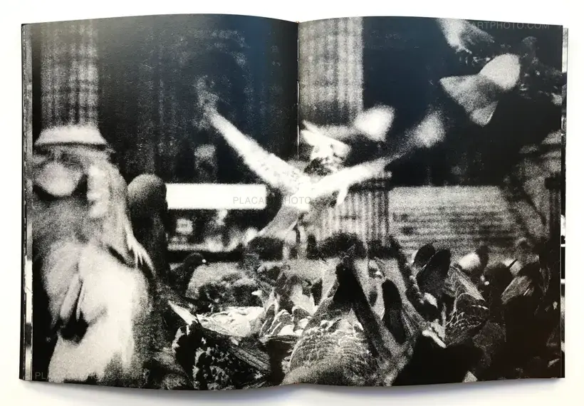 Between gaze and hallucination (SIGNED)