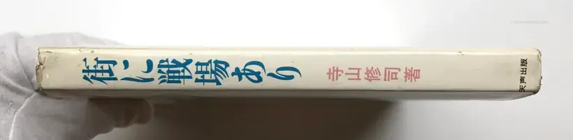 A Battlefield in the city