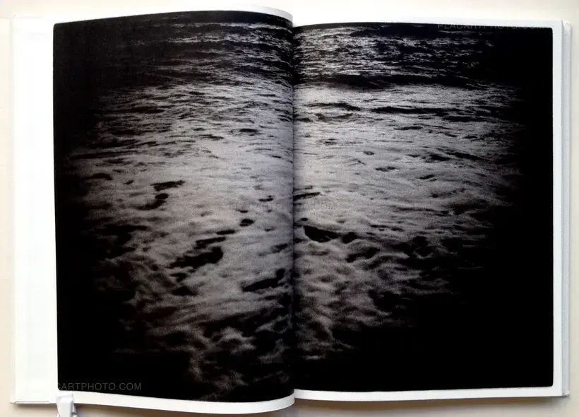 Nude/ A Room/ Flowers