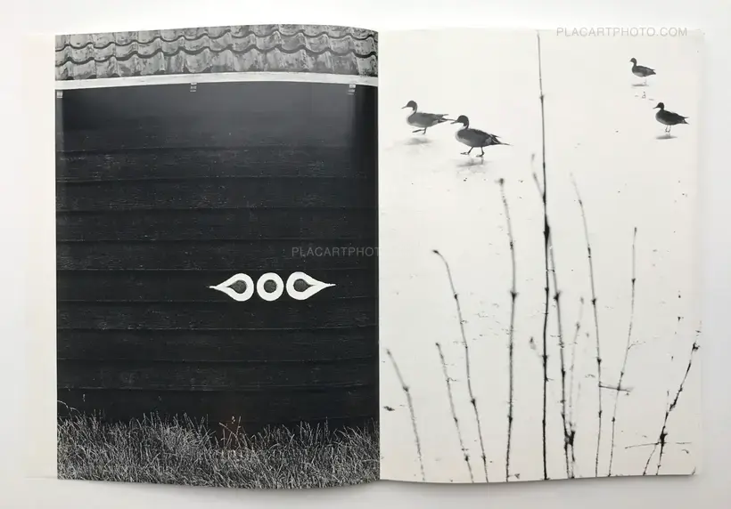 Aart Klein Fotograaf