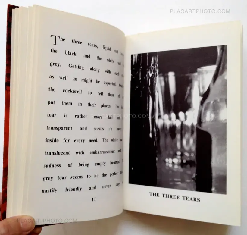 Dark Shadow (Signed)