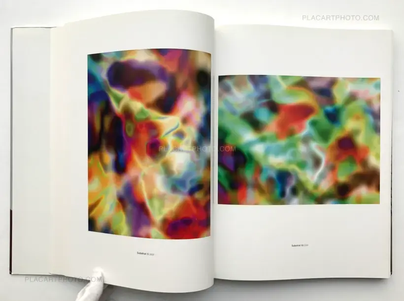 Photography 1979 to the Present