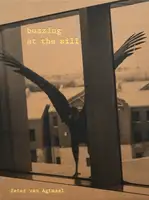 Buzzing at the sill (SIGNED)