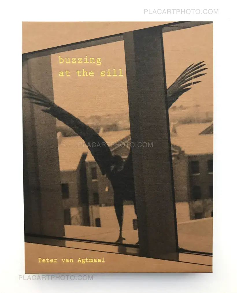 Buzzing at the sill (SIGNED)