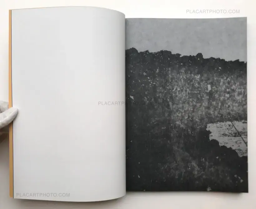 Sugar Paper Theories (ONLY 25 COPIES - SPECIAL EDITION) Last copy!!