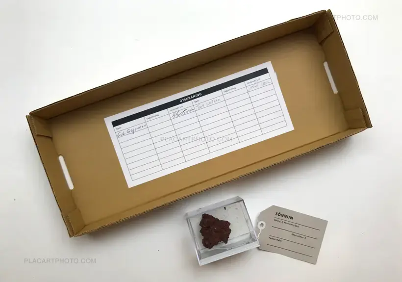 Sugar Paper Theories (ONLY 25 COPIES - SPECIAL EDITION) Last copies!!