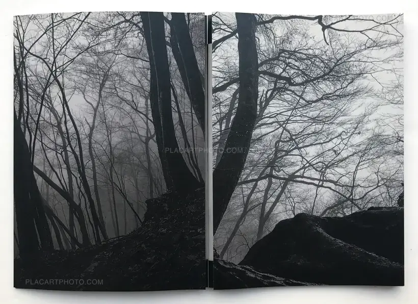 Hodophylax (ONLY 111 COPIES - SIGNED)