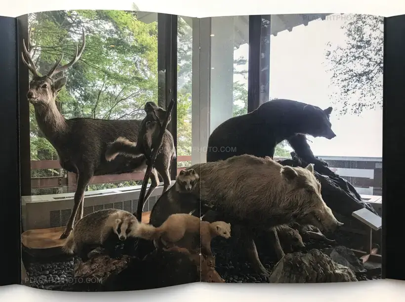 Hodophylax (ONLY 111 COPIES - SIGNED)