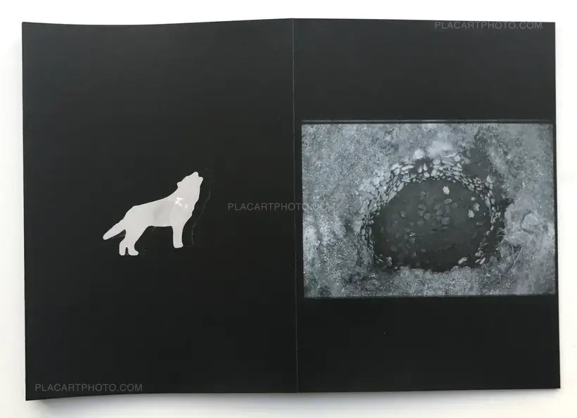 Hodophylax (ONLY 111 COPIES - SIGNED)