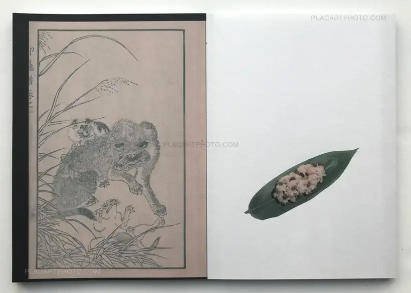 Hodophylax (ONLY 111 COPIES - SIGNED)