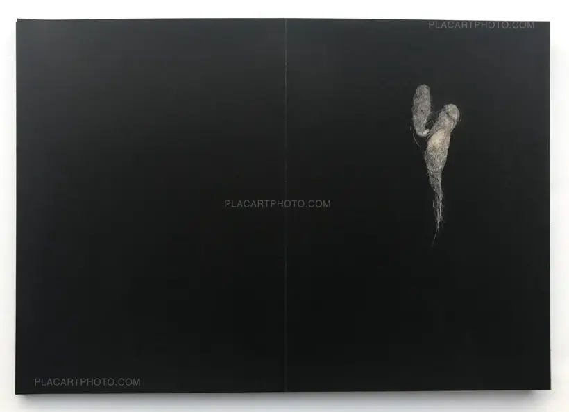 Hodophylax (ONLY 111 COPIES - SIGNED)