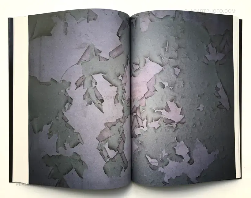 The Sentinel Script (SIGNED)