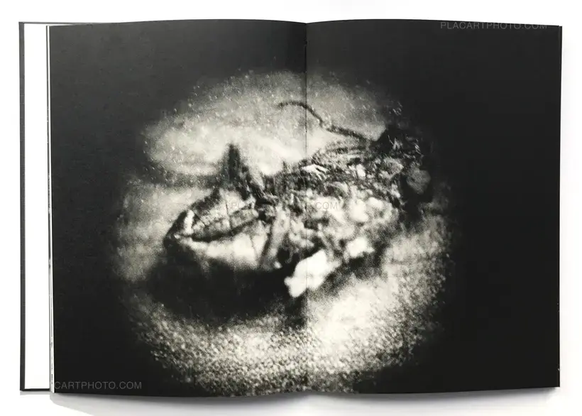 Nokturno (LTD & SIGNED)