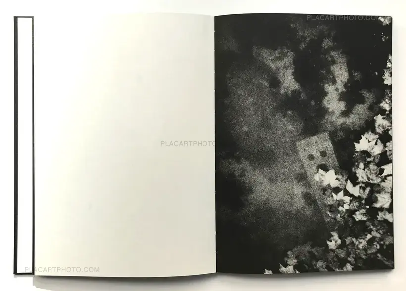 Nokturno (LTD & SIGNED)