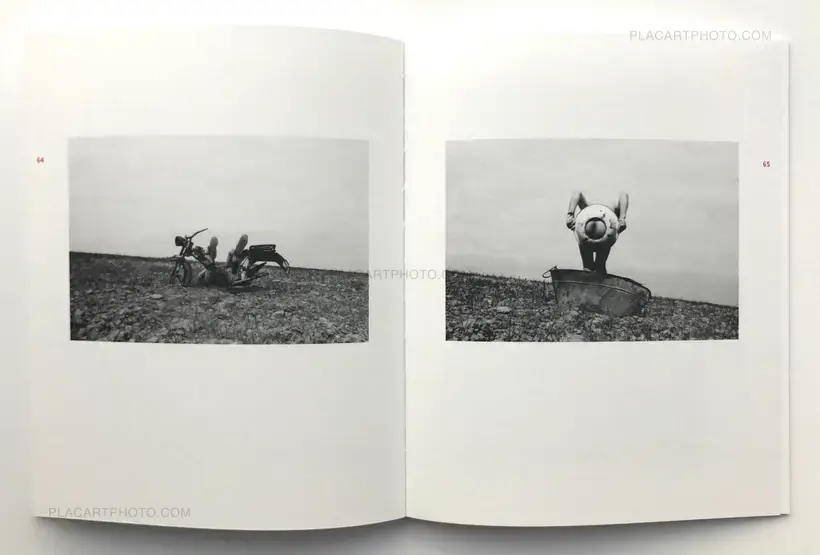 Homo Viksraitis (SIGNED)