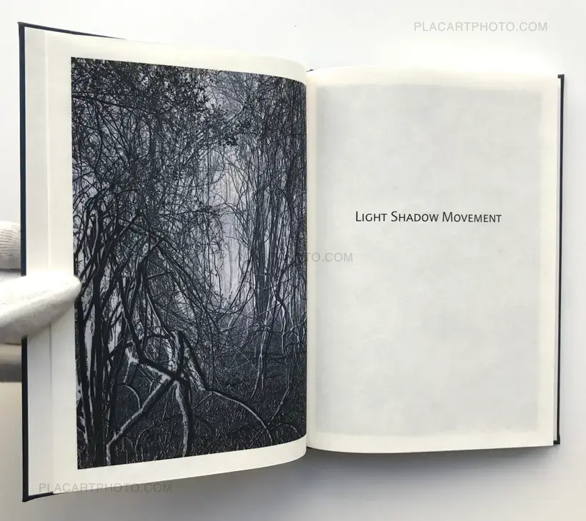 Light shadow movement (ONLY 100 COPIES - SIGNED)