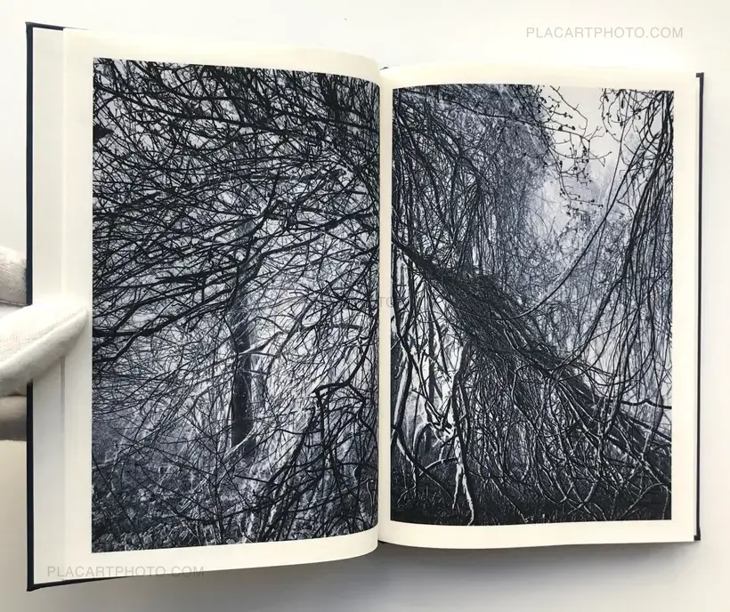 Light shadow movement (ONLY 100 COPIES - SIGNED)