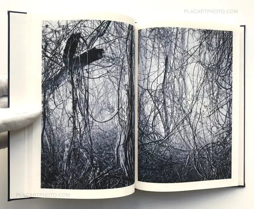 Light shadow movement (ONLY 100 COPIES - SIGNED)