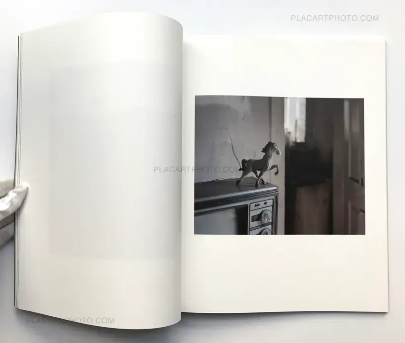 Grays the mountain sends