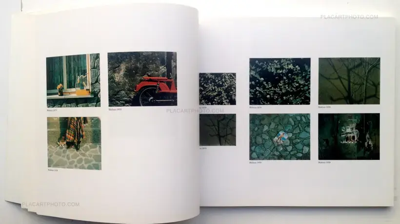 Polaroid - L'Opera completa 1979-1983