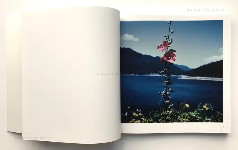 Erotic Engraving (signed copy)