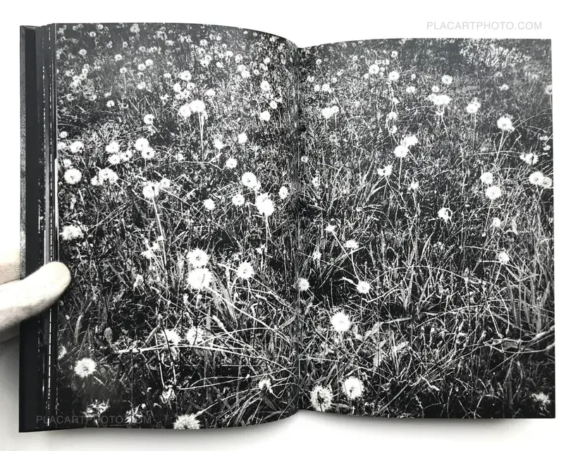 Tokyo Is Yours (Numbered and signed)