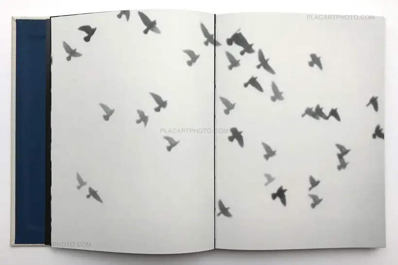 Bird, Night and then (Only 55 copies)