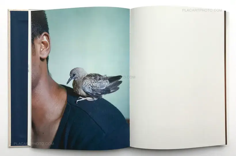 Bird, Night and then (Only 55 copies)