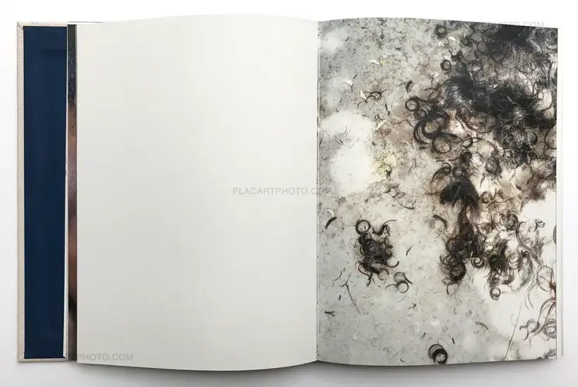 Bird, Night and then (Only 55 copies)