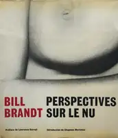 Perspectives sur le nu