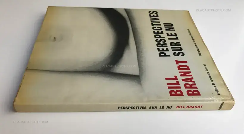 Perspectives sur le nu