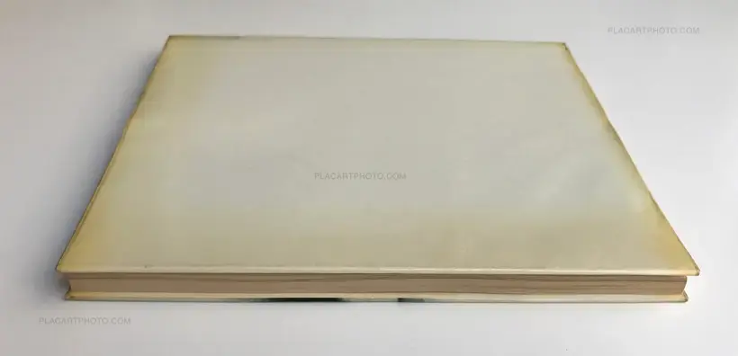 Perspectives sur le nu