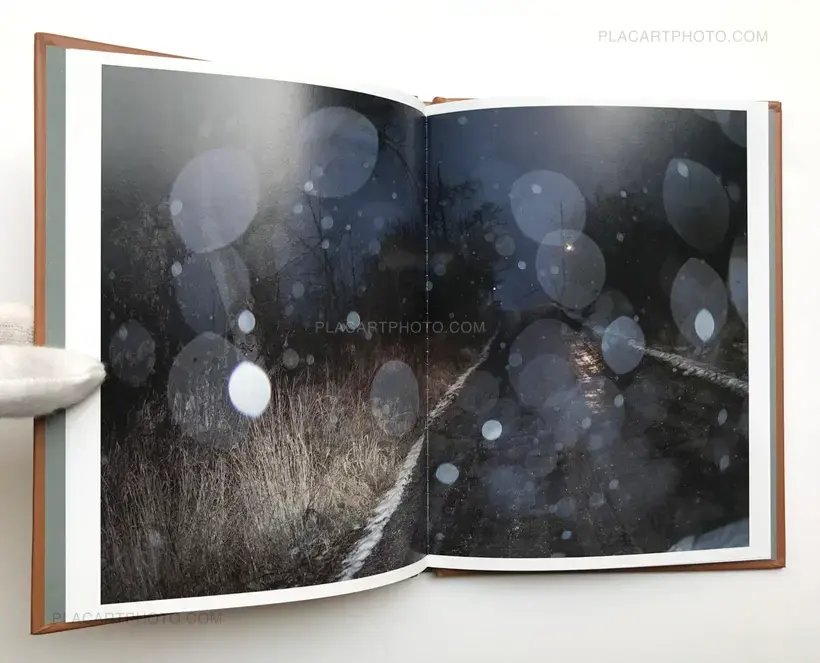 One Picture Book # 93 : Seasons Road (WITH A SIGNED PRINT)