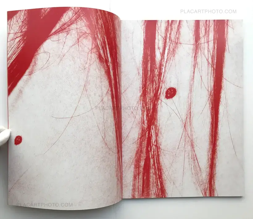 Pleiades (Ltd to 20 copies)