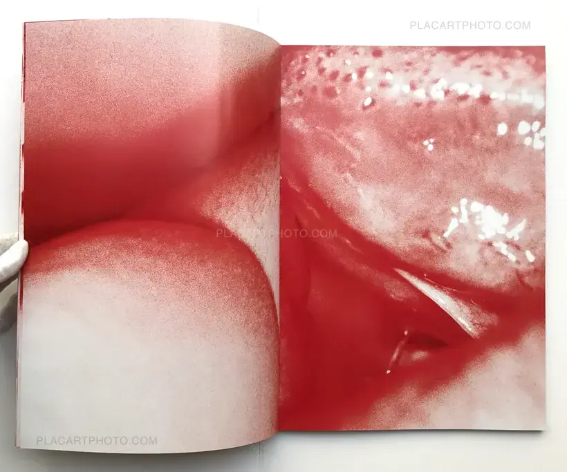 Pleiades (Ltd to 20 copies)