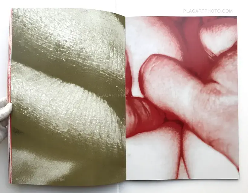 Pleiades (Ltd to 20 copies)