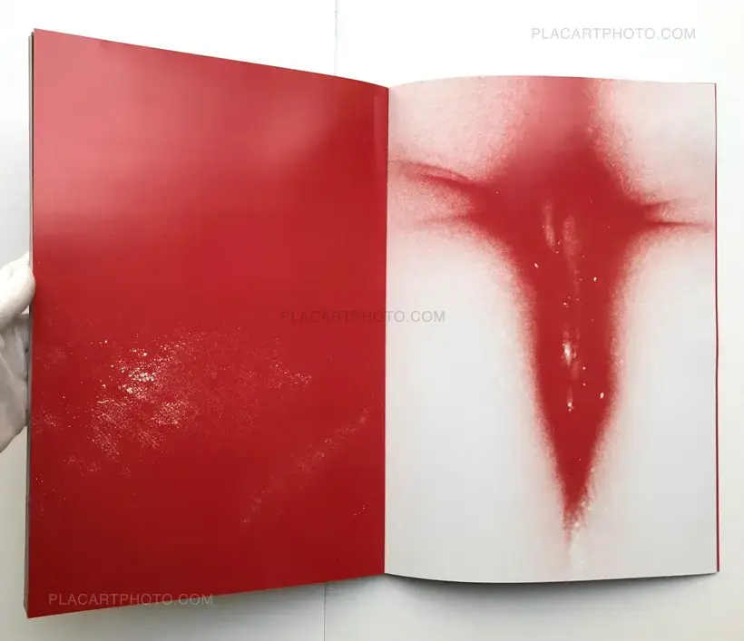 Pleiades (Ltd to 20 copies)