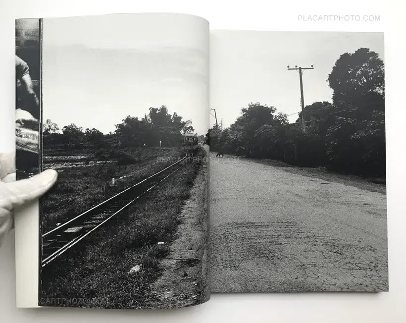 The Tropics (SIGNED)