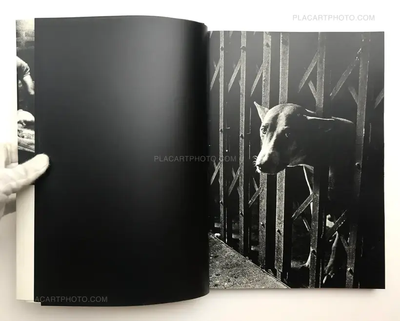 The Tropics (SIGNED)