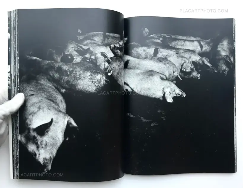 The Tropics (SIGNED)