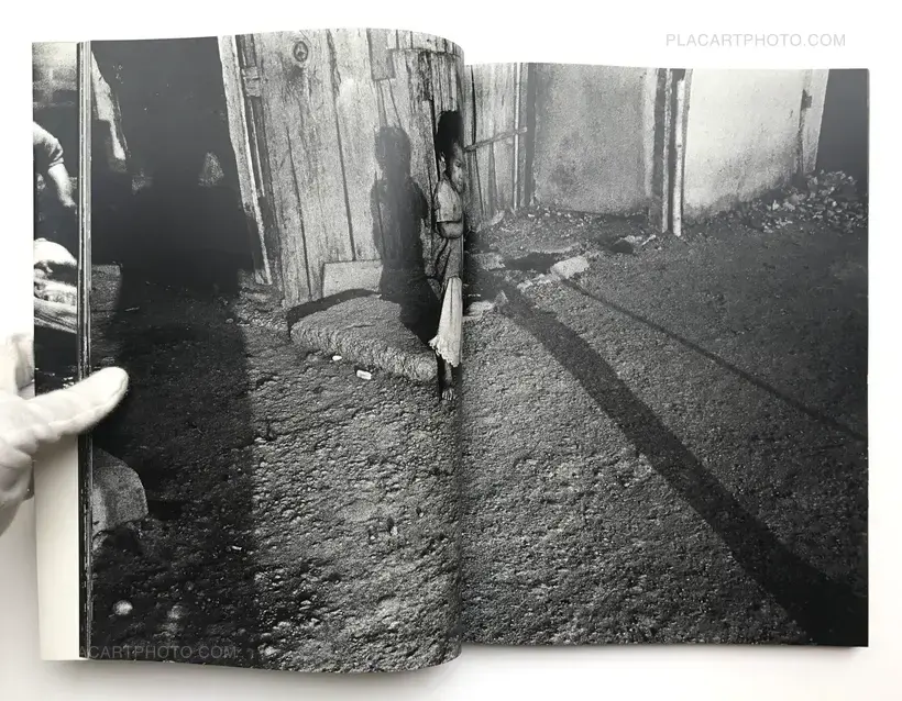 The Tropics (SIGNED)