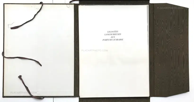 Liliacées langoureuses aux parfums d'Arabie (DEDICATED)