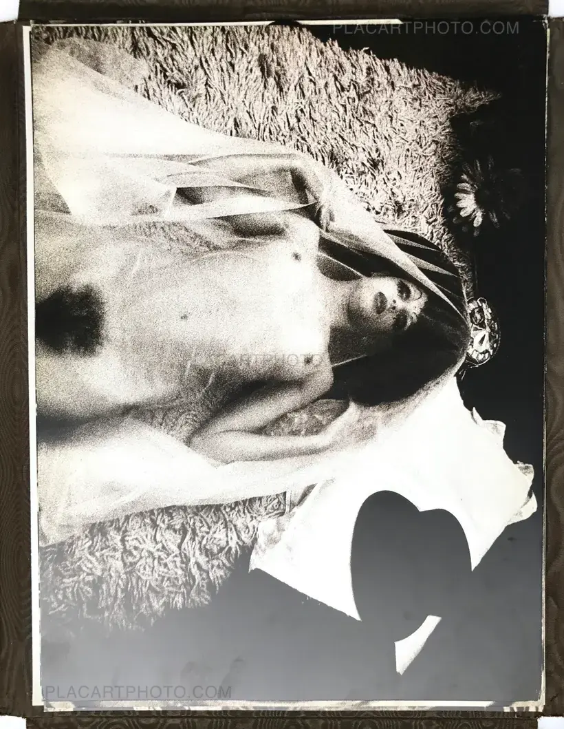 Liliacées langoureuses aux parfums d'Arabie (DEDICATED)